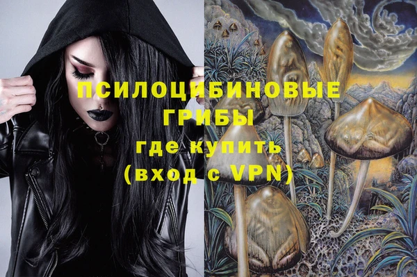 твердый Горно-Алтайск